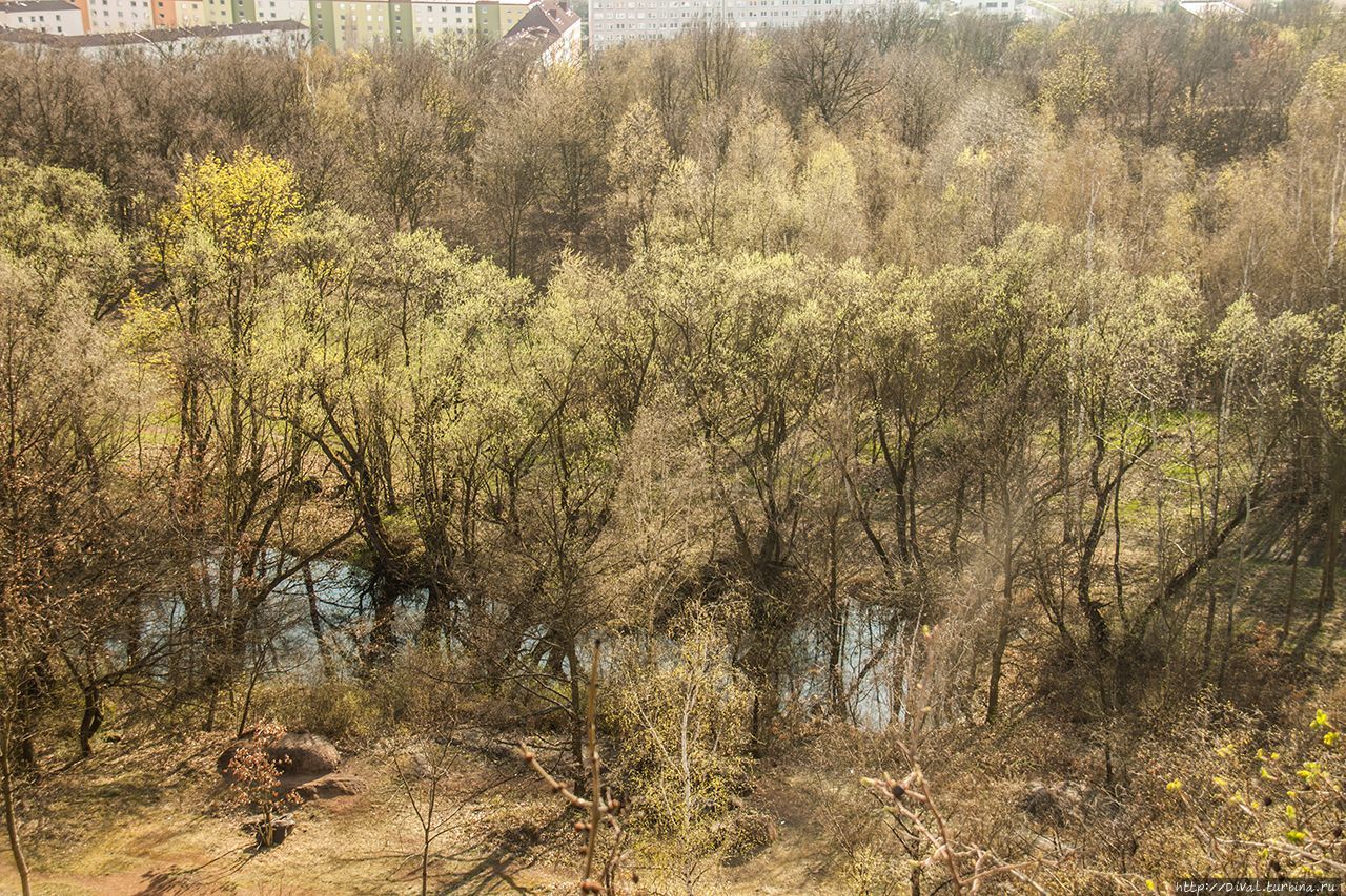 Богемия. Три дня весны (альбом)