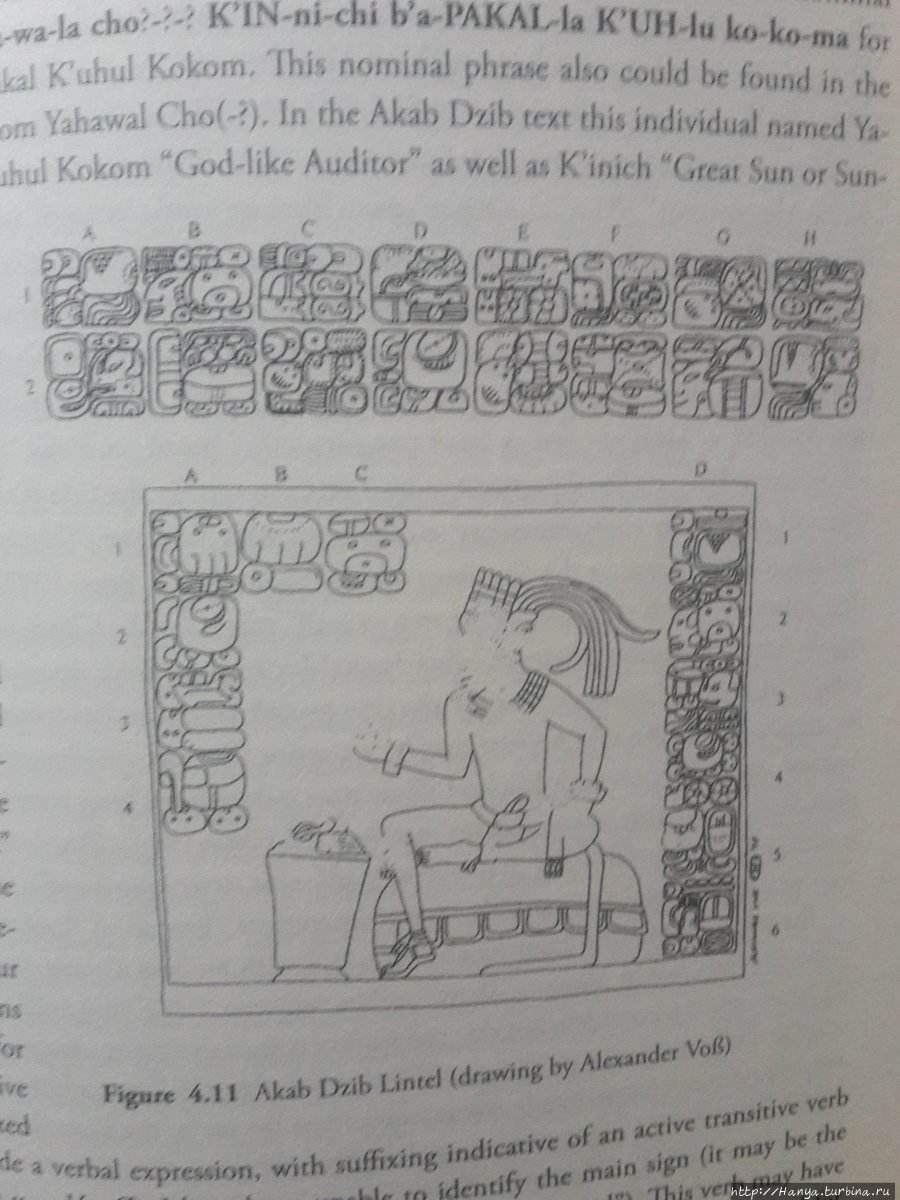 Из интернета