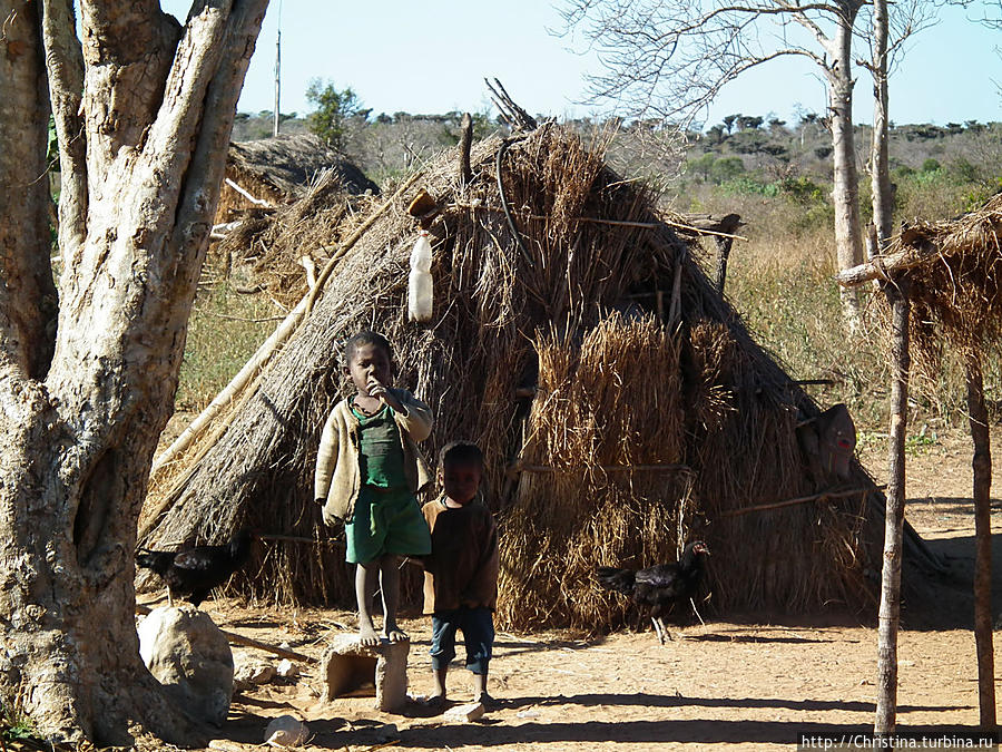 южные племена Мадагаскар