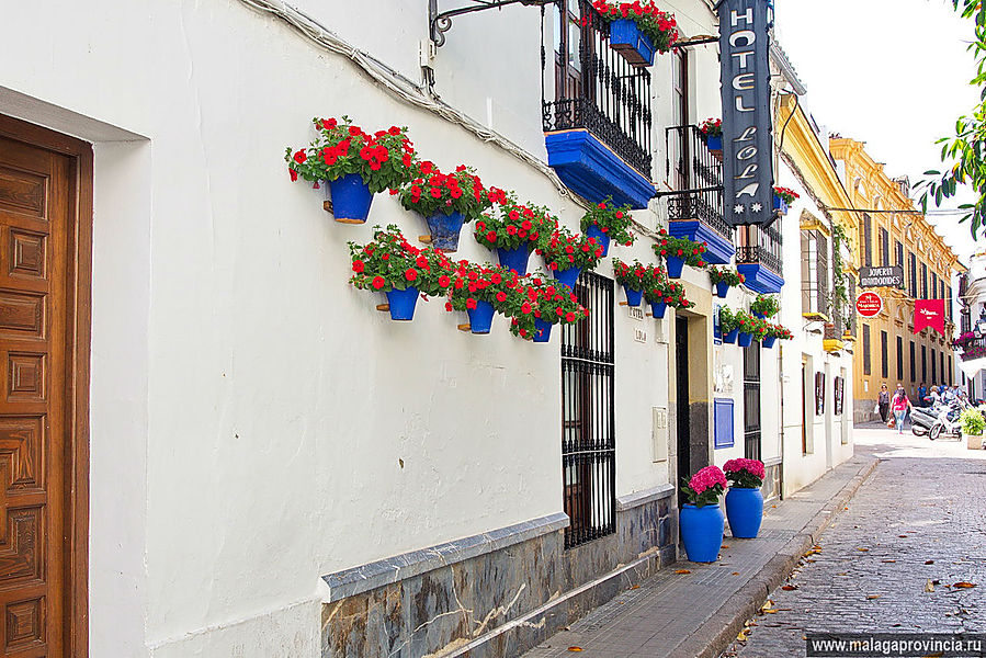 Знаменитые внутренние дворики Кордобы. Patios de Córdoba Кордова, Испания