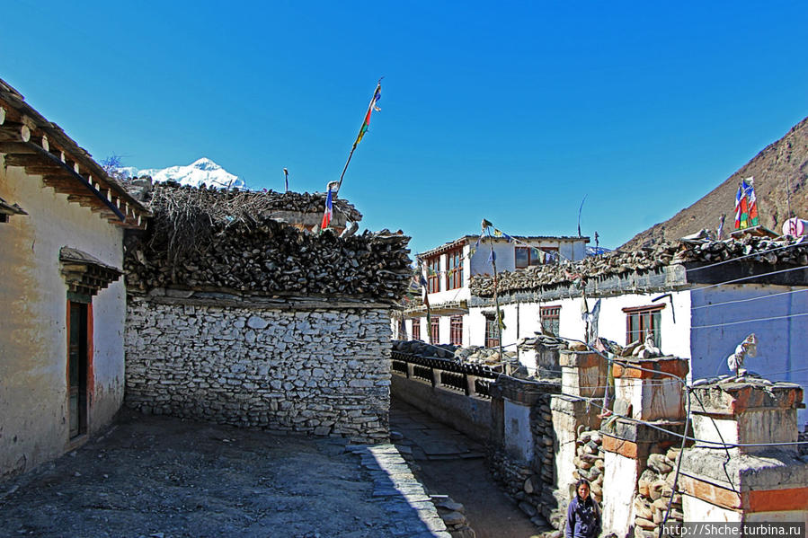Кагбени Кагбени, Непал