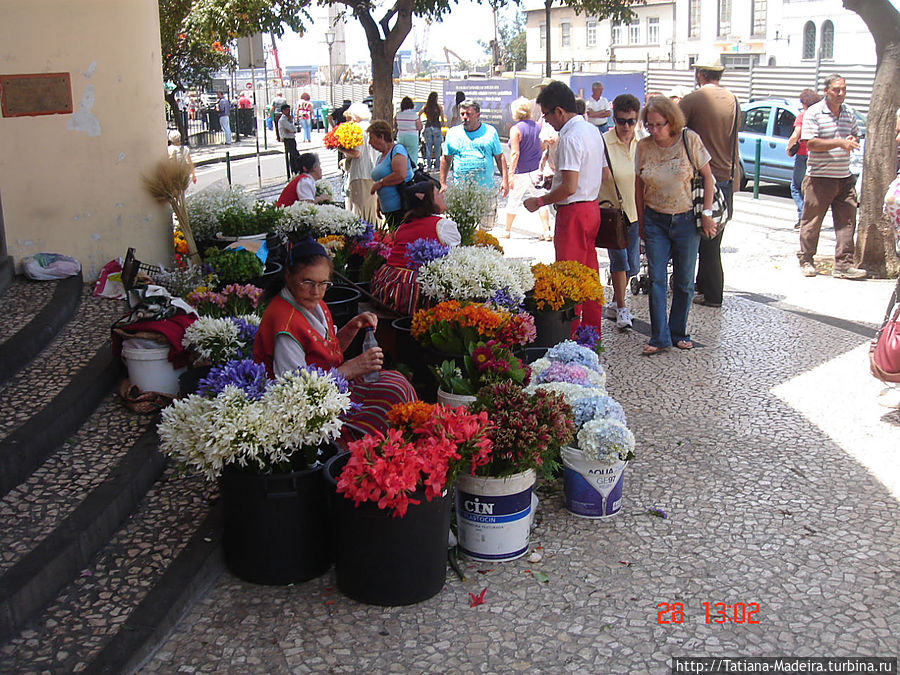 Вход на рынок. Регион Мадейра, Португалия