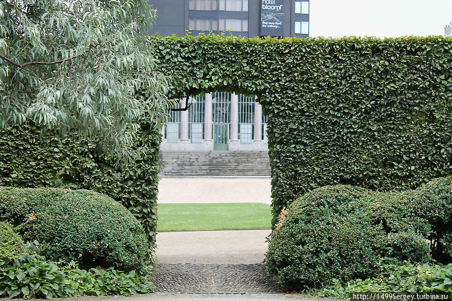 Брюссель. Прогулка в ботаническом саду 