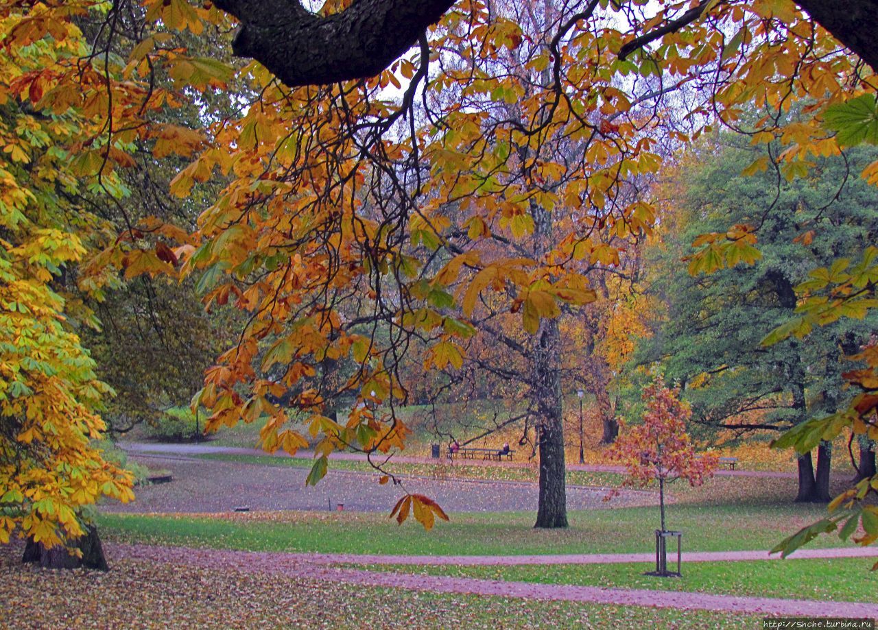 Дворцовый парк / Thon Slottsparken