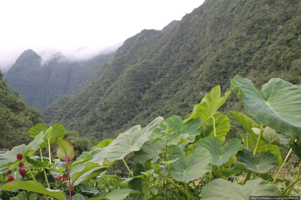 Три истории города 