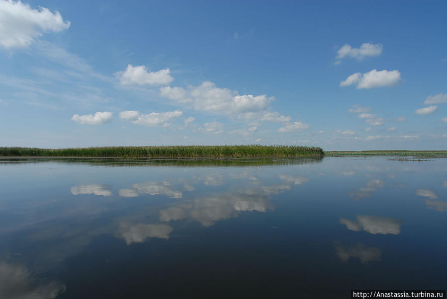 Зеленга, заповедные места Астраханский Биосферный Заповедник в дельте Волги, Россия
