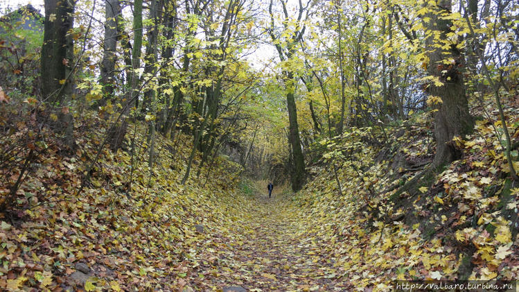 Овраг королевы Ядвиги