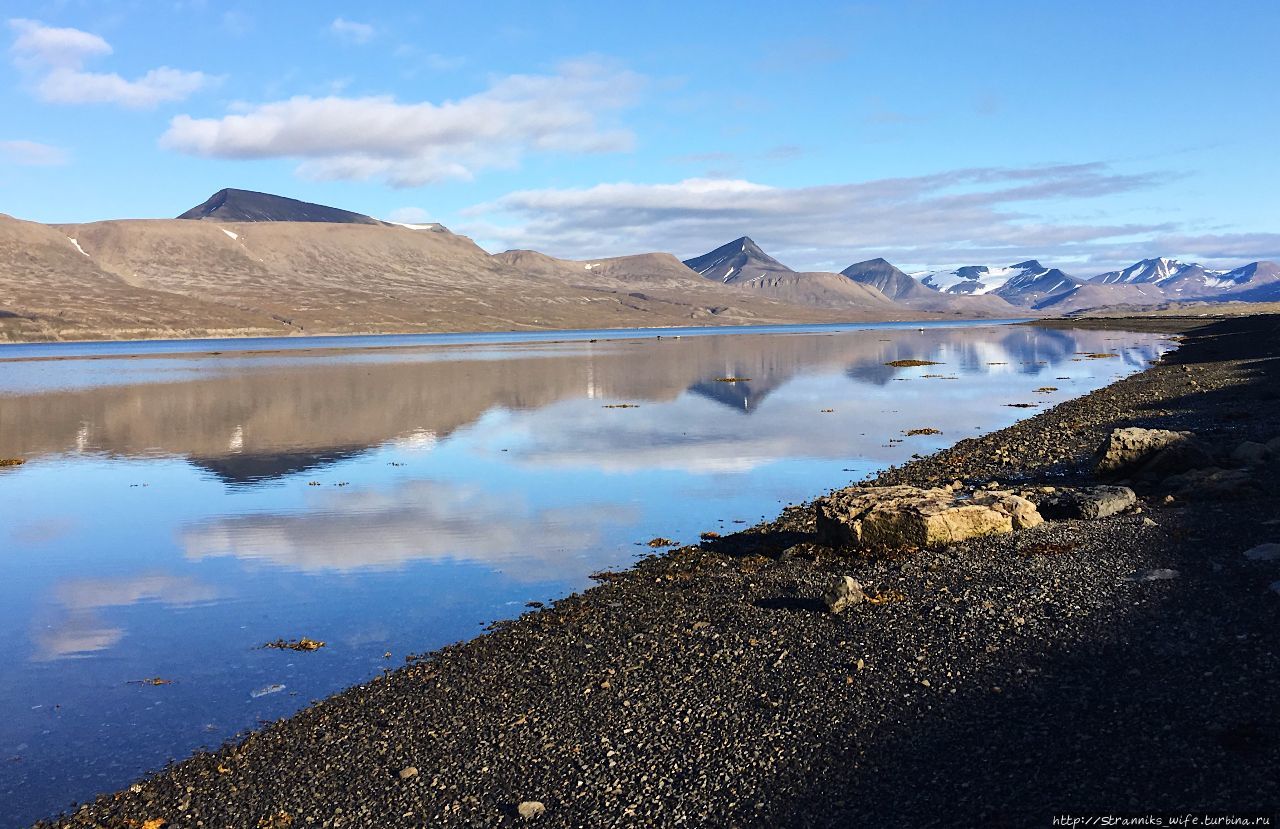 Холодный мир горячих сердец Шпицберген, Свальбард