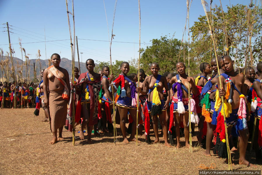 Умхланга. День VI. С тростником наперевес Лобамба, Свазиленд