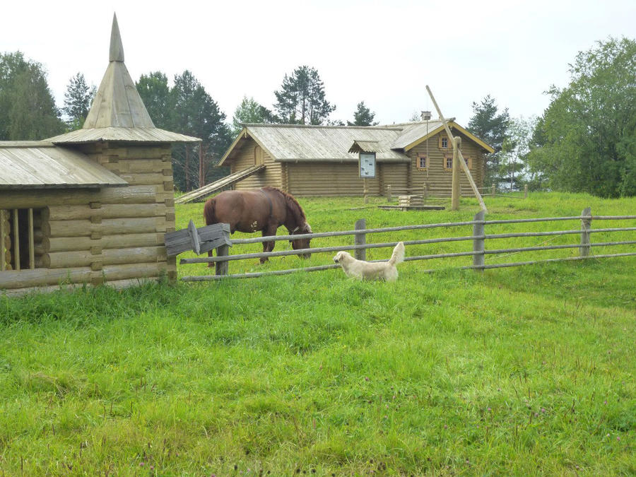 Кенозерье без границ. Кенозерский Национальный Парк, Россия