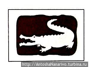 Носороги на дороге Мозамбик