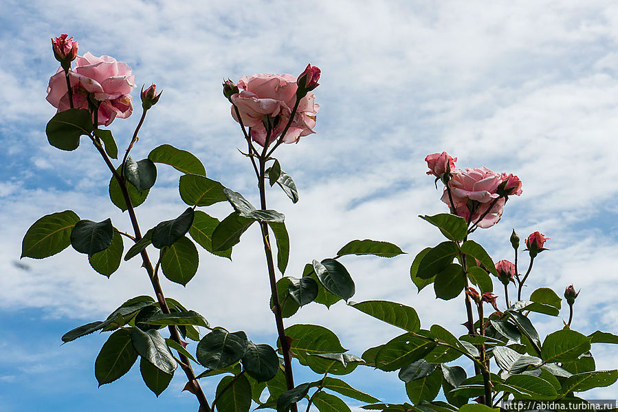 Гроттамаре на Пальмовой Ривьере Гроттамаре, Италия
