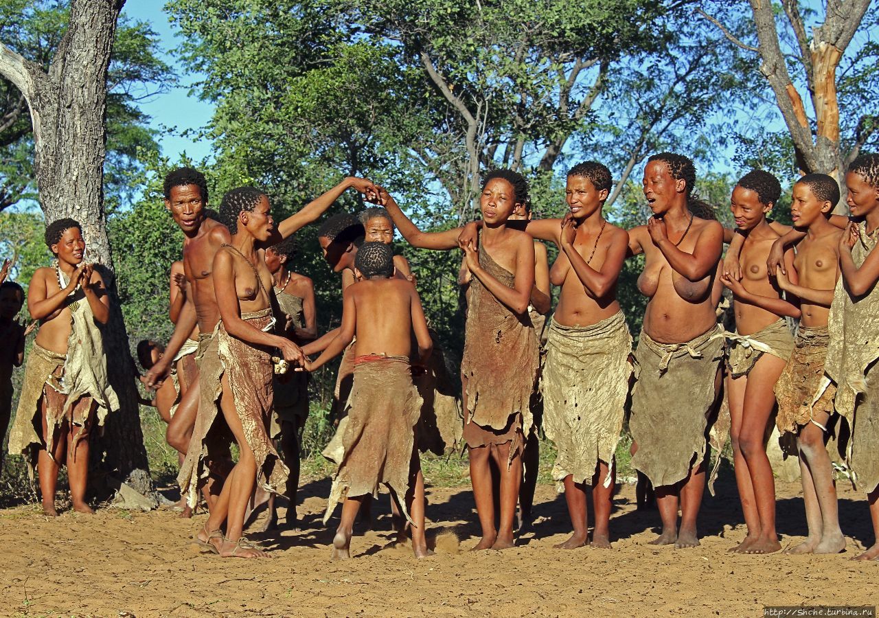 Живой музей Ю/'Хоанси-Сан Грашоек, Намибия