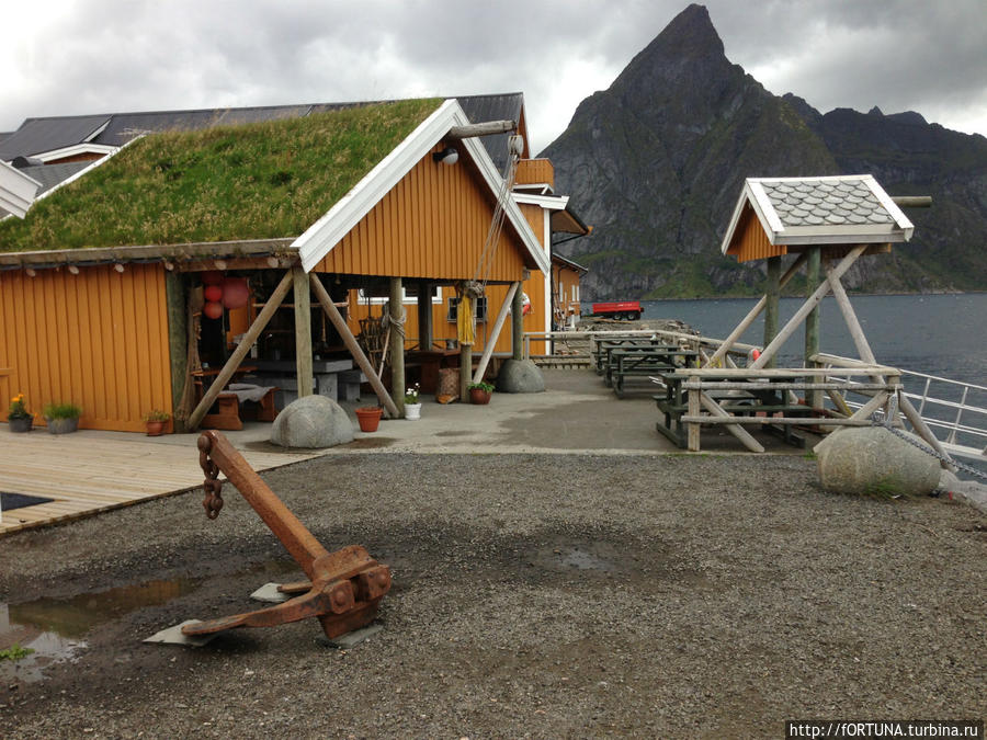 Магазин морепродуктов и местных деликатесов Острова Лофотен, Норвегия