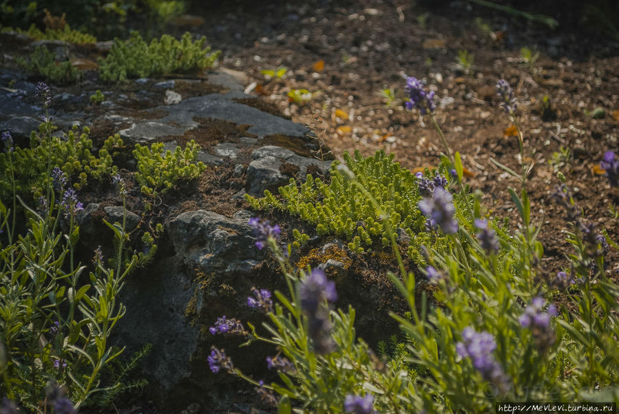 Чем дышит город Рига, Латвия