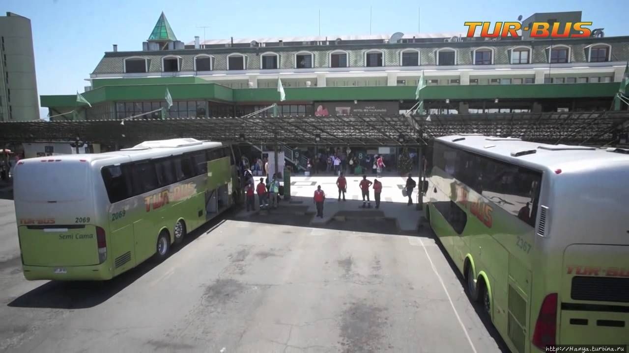 Из интернета