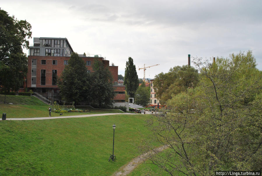 Слева — здание академии архитектуры и дизайна