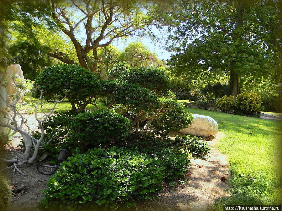 Оазис Эйн-Геди (ч1) История кибуца и его сада Эйн-Геди, Израиль