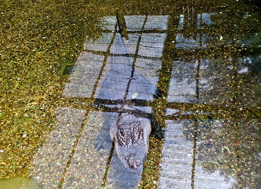 Этот крокодил готовится нас съесть. Лиссабон, Португалия