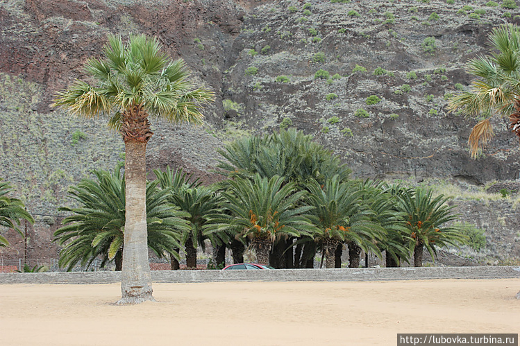 Пляж Playa de las Teresit