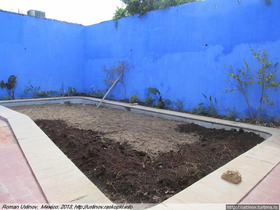 бывший бассейн, теперь грядка Мексика