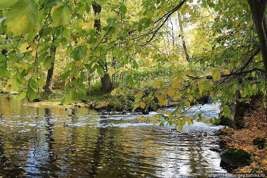 Золотая осень в парке Ораниенбаум Ломоносов, Россия