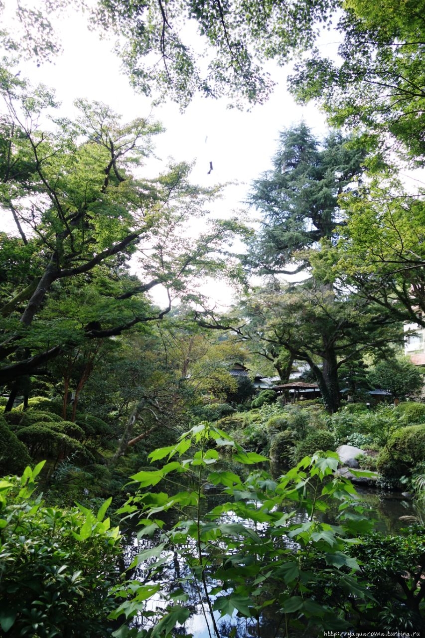 Природный парк Хаконе. Еще один японский садик. Хаконэ, Япония