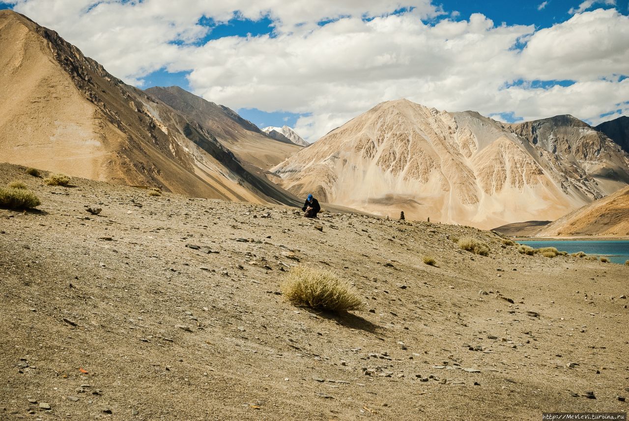 Озеро Пангонг Штат Джамму-и-Кашмир, Индия