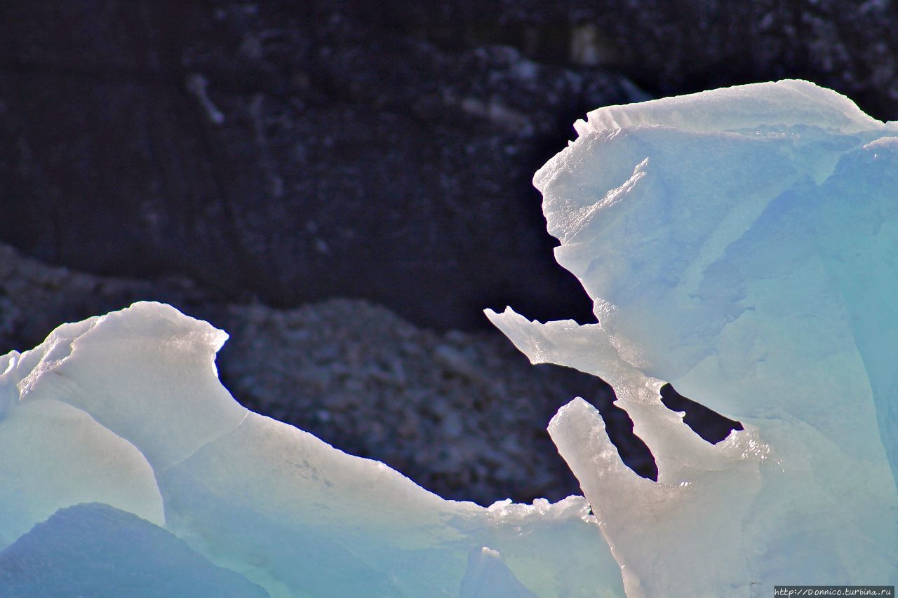 Дикий Шпицберген — Солнечный Мишка Нурвест-Шпицберген Национальный Парк, Свальбард