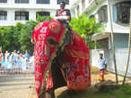 Праздничный слоник в Хиккадуве.