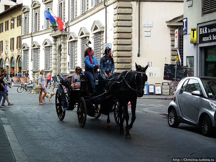 Флоренция, 2012 год.