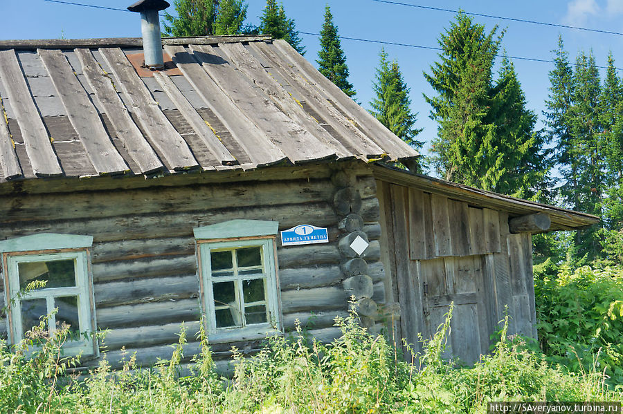 Деревня Паршакова, ул. Арвида Генетца, д.1 Красновишерск, Россия