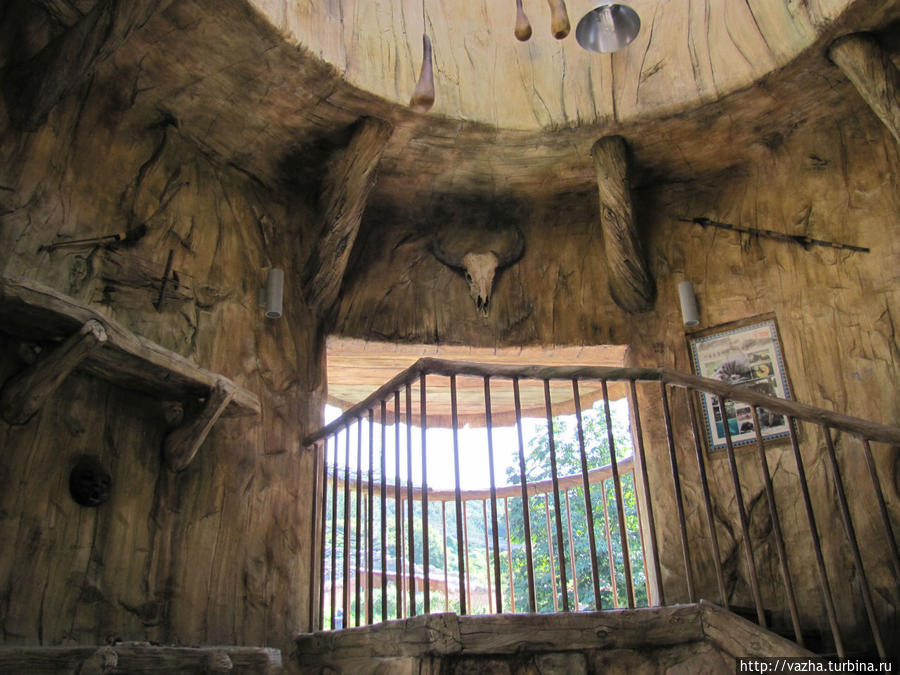 Зоопарк Сеула. Первая часть. Сеул, Республика Корея