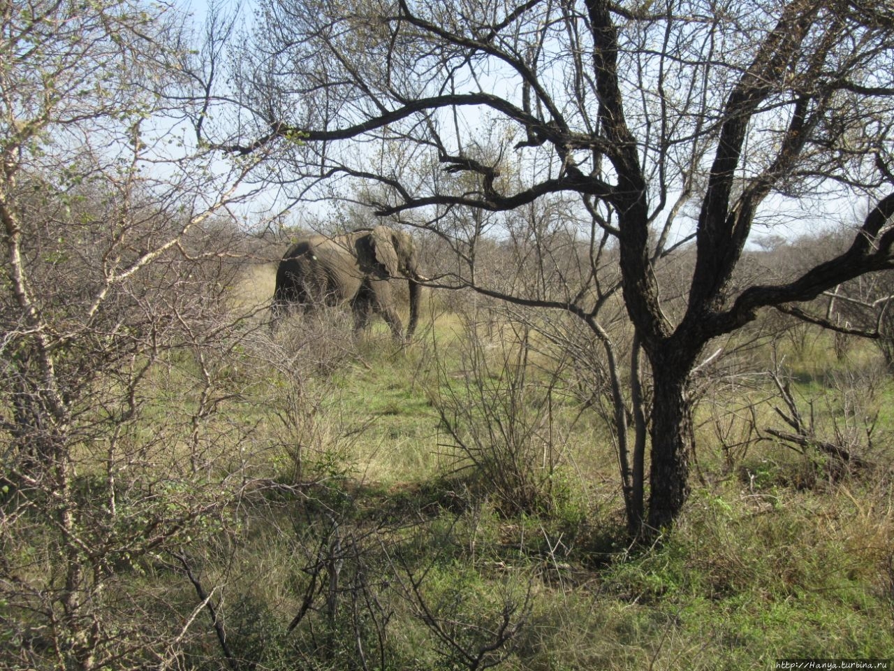 Ворота Фабени, Парк Крюгера Хейзивью, ЮАР