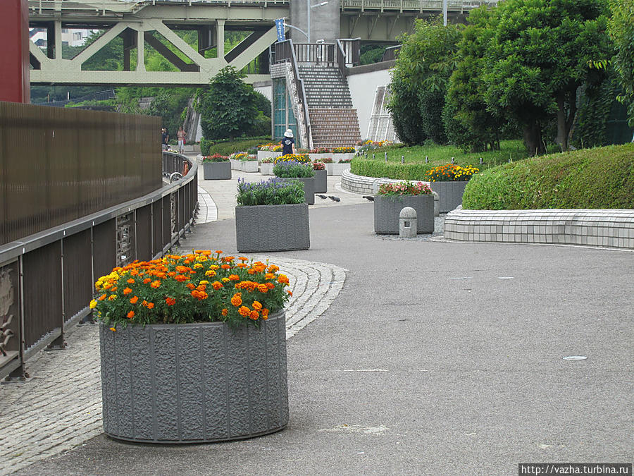 Небольшой парк и набережная Сумиды. Токио, Япония