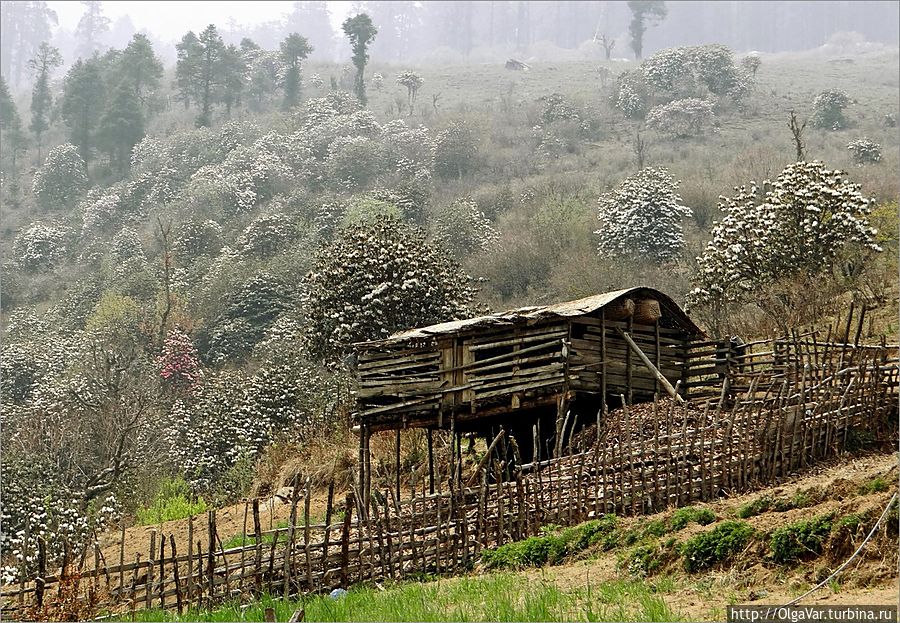 Пора сделать привал. Как раз на пути небольшая деревушка на высоте 3040 м с гест-хаусом, запомнившимся потрясающим супчиком и маленькой девочкой с игрушечной овечкой