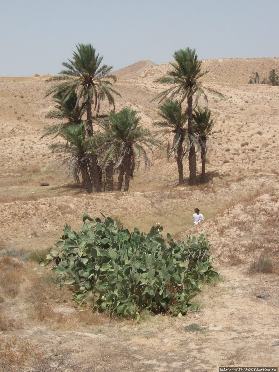 Шоу в Матмате Матмата, Тунис