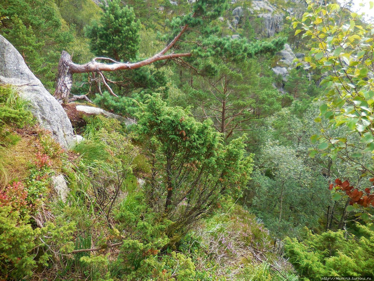Кафедра Проповедника — уникальное творение природы Прекестулен (Кафедра проповедника), Норвегия