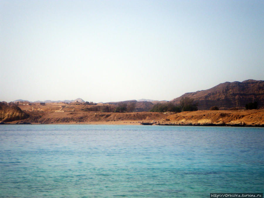 Не любите ветра, волн, ежей под ногами — залив Шарм-эль-Майя Шарм-Эль-Шейх, Египет