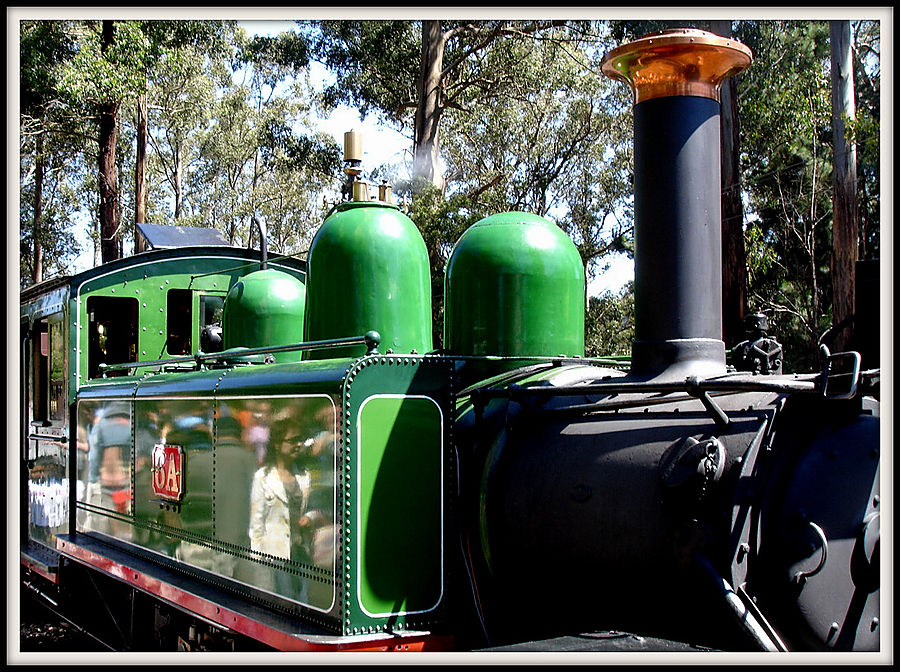 Каждый из локомотивов, работающих на Puffing Billy  имеет свою историю и идентичность. Штат Виктория, Австралия