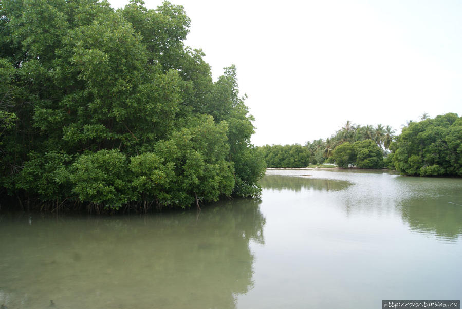 река Мальдивские острова