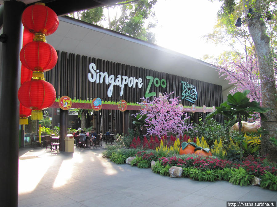 Знакомство с зоопарком Сингапура. Третья часть. Сингапур (город-государство)