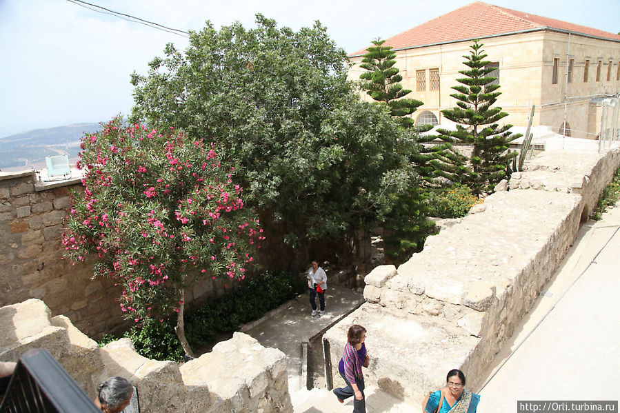 Церковь Преображения Кфар-Тавор, Израиль