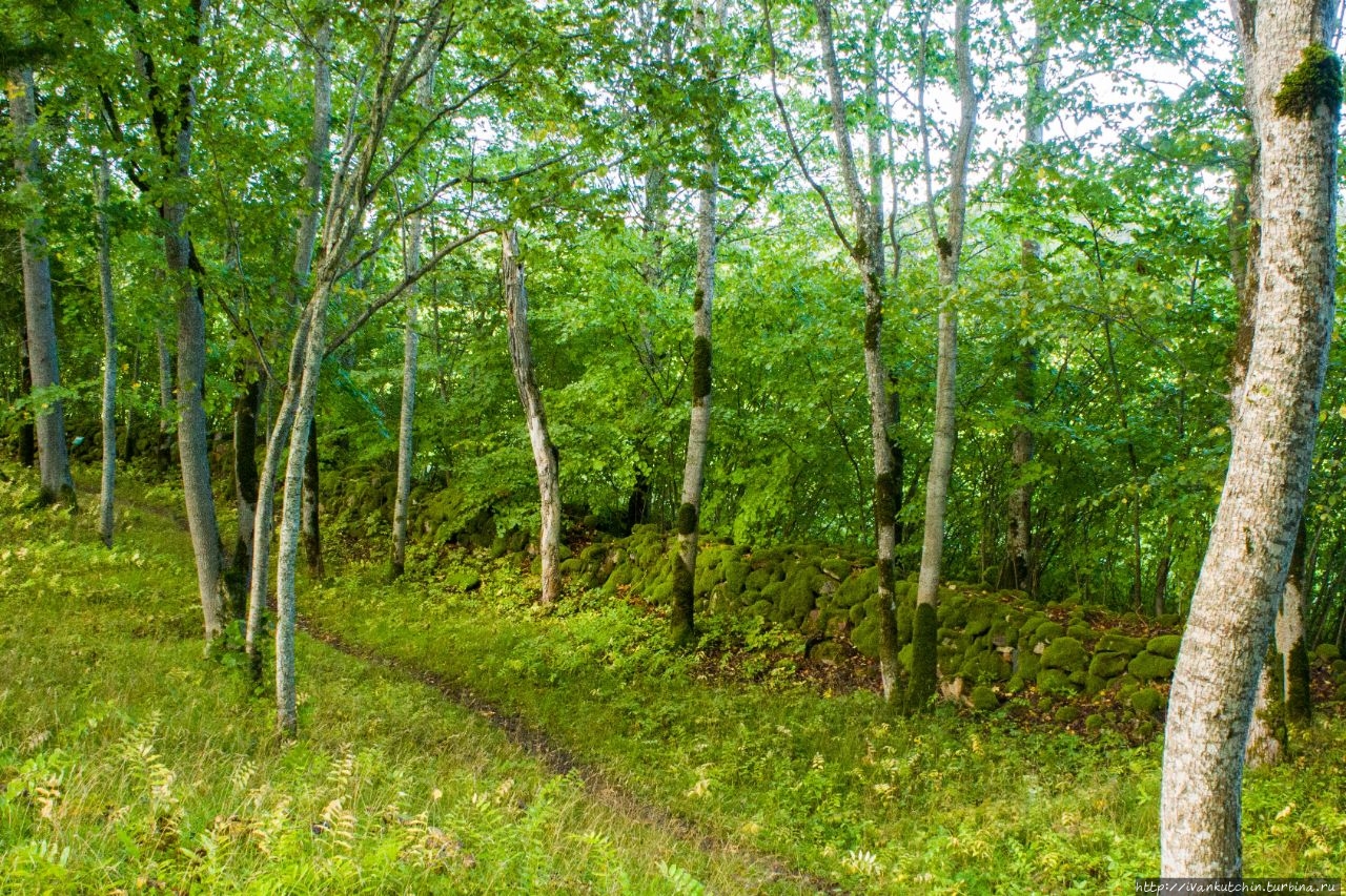 Островная земля Уезд Сааремаа, Эстония