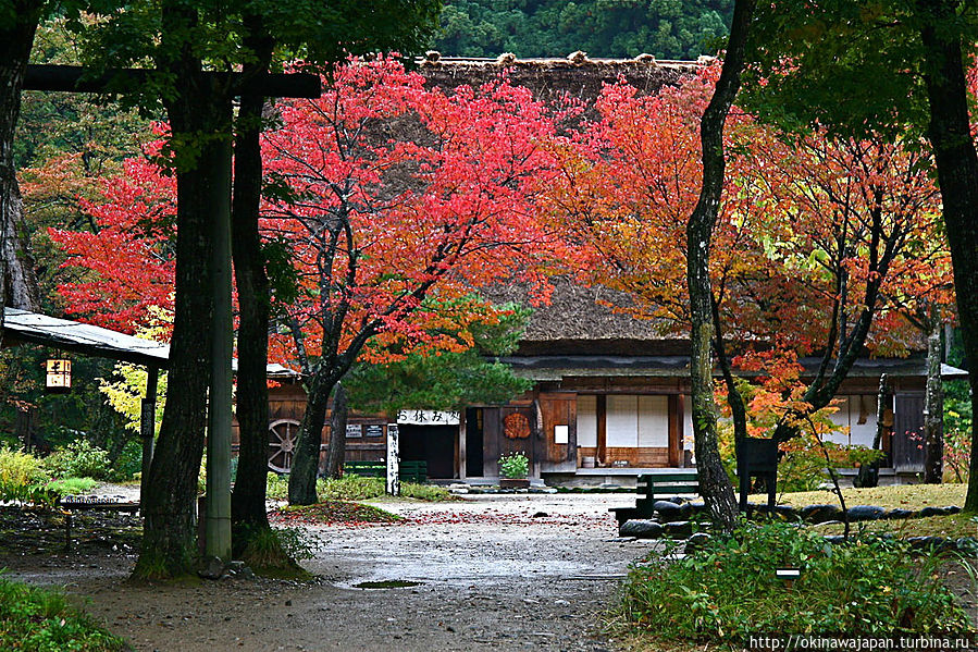 Осень в Сиракава Префектура Гифу, Япония