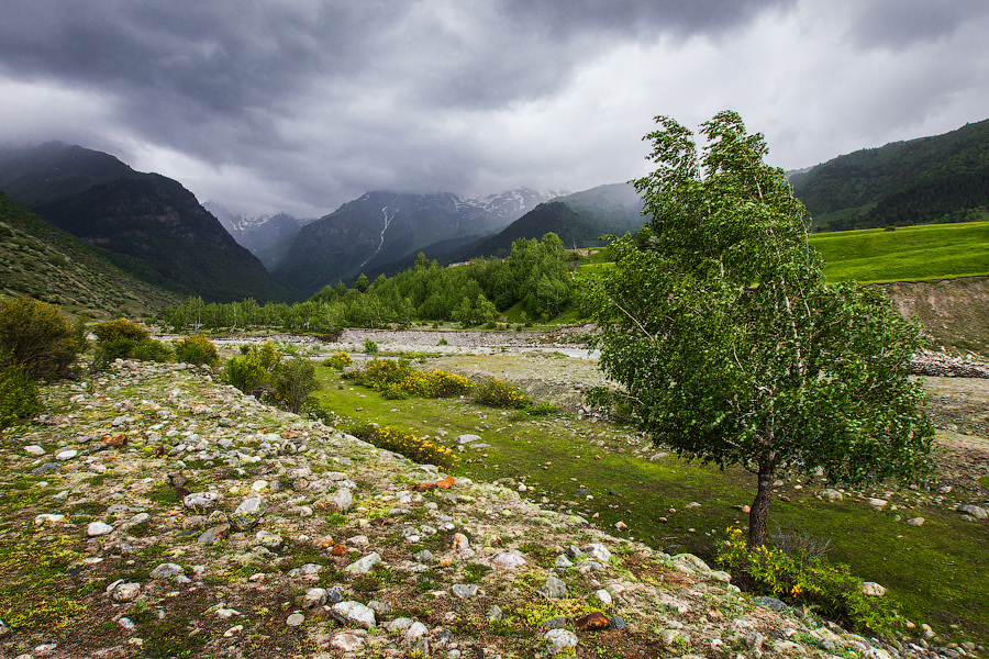 Неожиданно поднялся ветер и погода начала портиться..