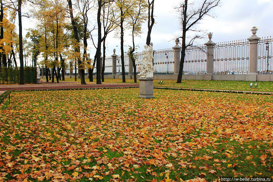 Летний сад осенью в санкт петербурге