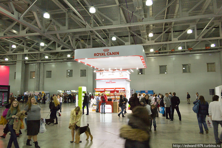 Выставка собак, Россия-2012 Москва, Россия