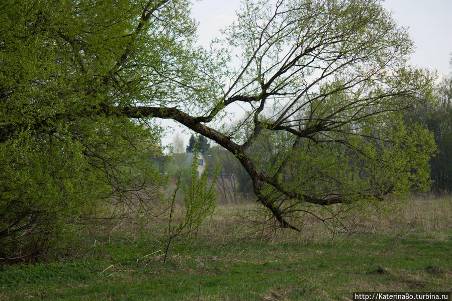 Для чего не стоит сидеть дома в первомай Истра, Россия