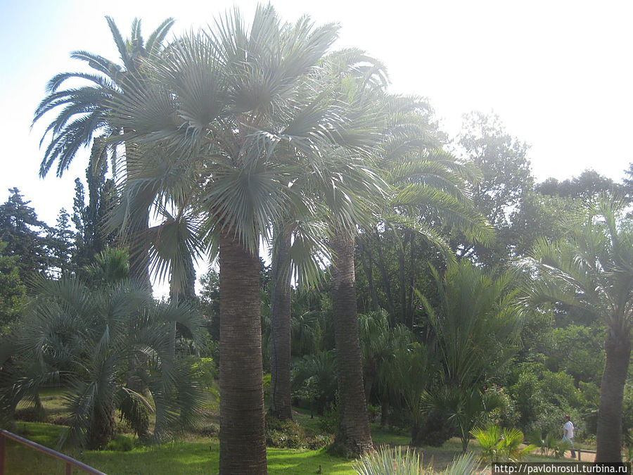 ботанический сад Мар и Муртра. Бланес, Испания